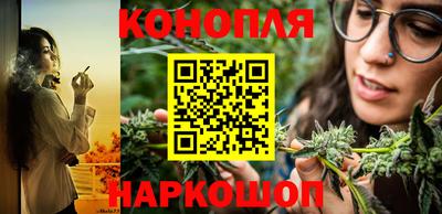 Альфа ПВП Бийск