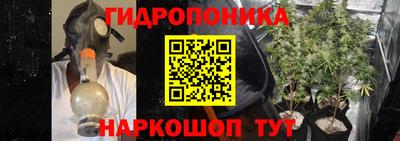 Альфа ПВП Бийск