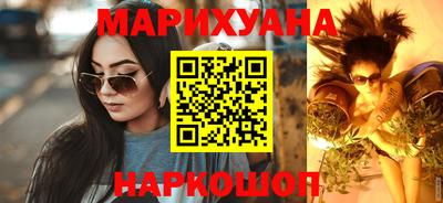 Альфа ПВП Бийск