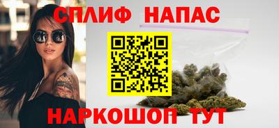 Альфа ПВП Бийск
