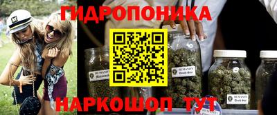 Альфа ПВП Бийск