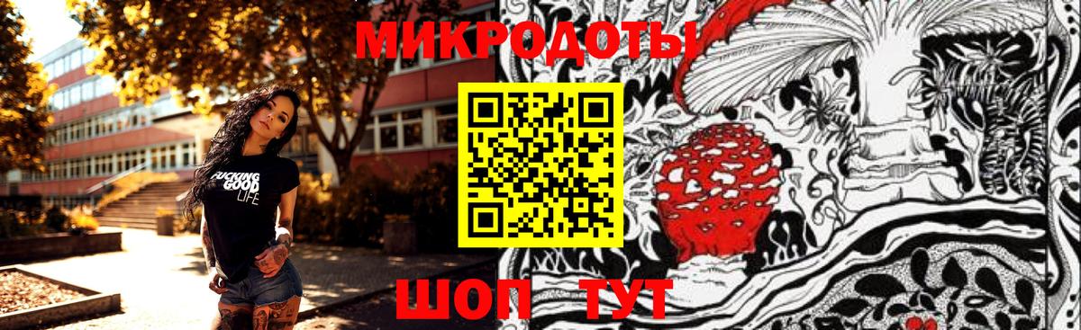 Кизилюрт  Псилоцибиновые грибы Psilocybe  Вход с VPN 